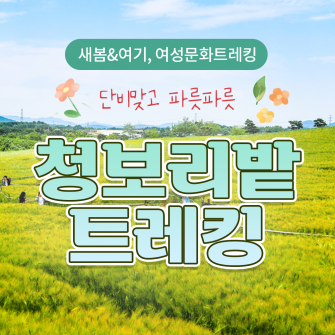 [5월&여기] 단비 맞고 파릇파릇 고창 트레킹 5/2(화)