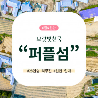 [6월&신안] 보랏빛천국 