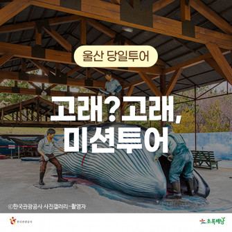 [매달 둘째 넷째 토요일]울산교육여행 고래투어