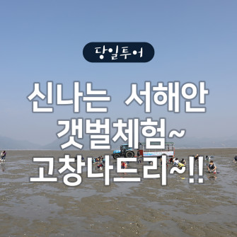 여름방학 갯벌체험 ! 고창나드리 ~