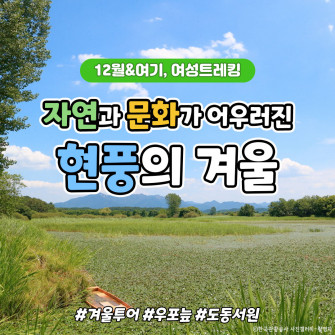 [12월 20일] 감성가득 겨울투어 - 현풍