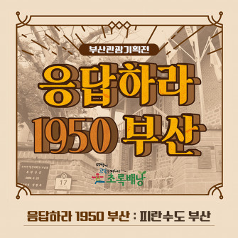 응답하라 1950부산