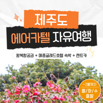 제주도 에어카텔 자유여행(~2월)
