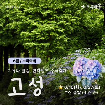 [6월 여담] 고성 만화방초 수국축제 6/16(화), 6/27(토)